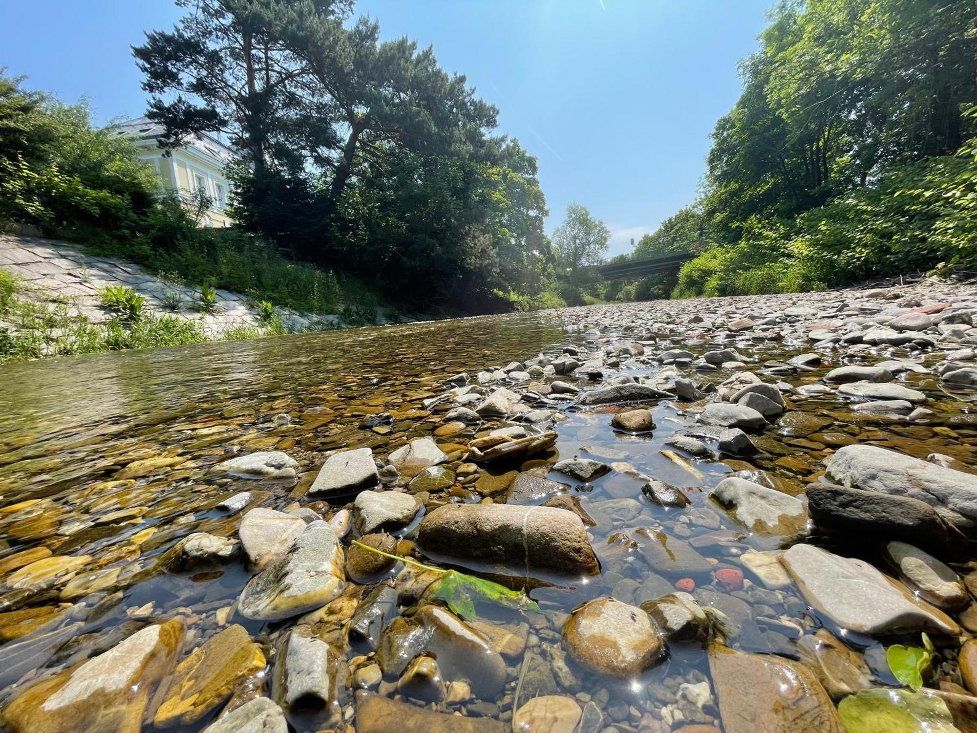 Nest Natur Hostel Відень Екстер'єр фото